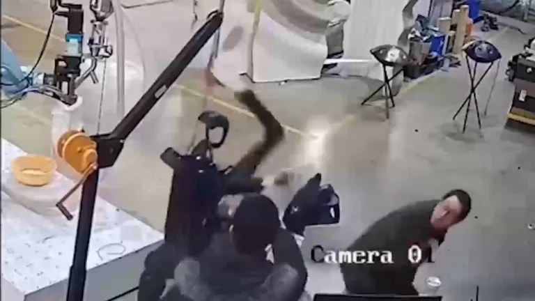 Ai Robot FreaksOut